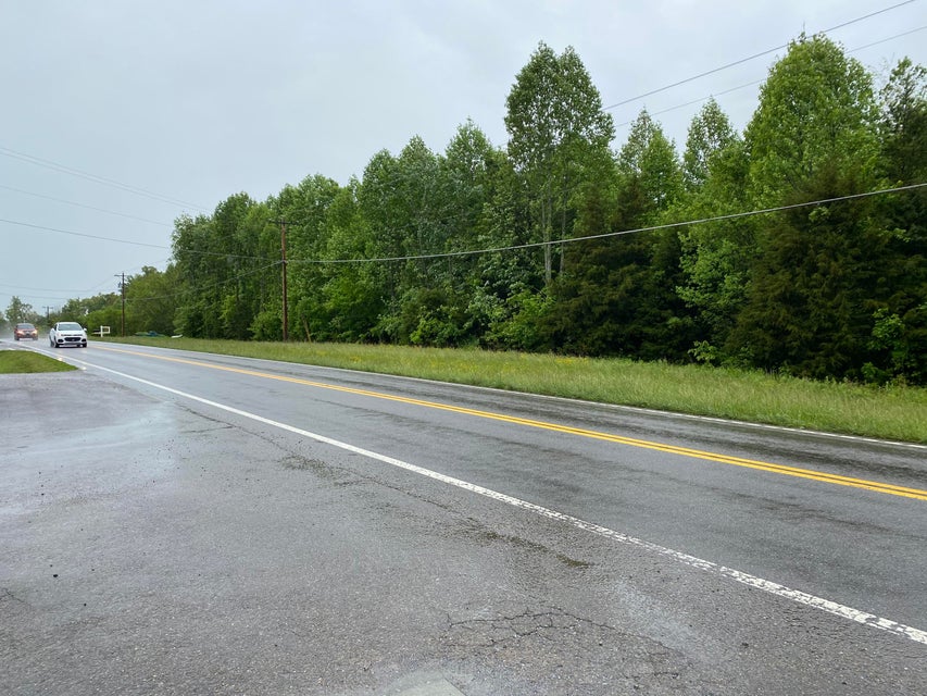 Photo #4: 000 Erwin Highway