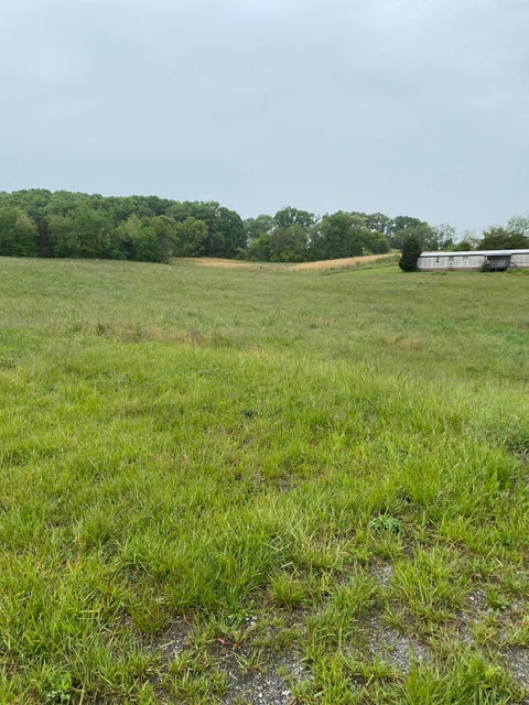 Photo #5: 000 Erwin Highway