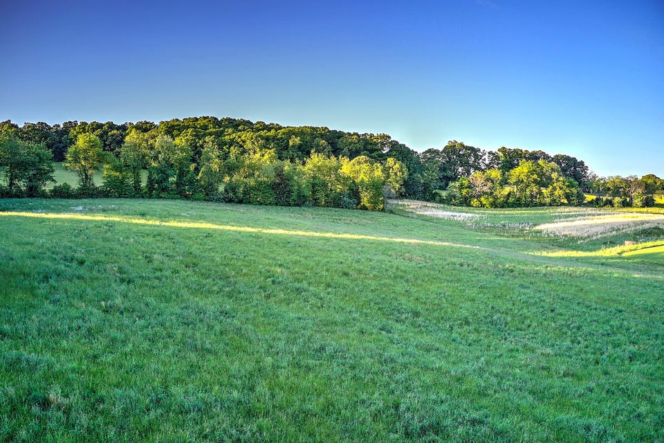 Photo #10: 000 Andrew Johnson Highway