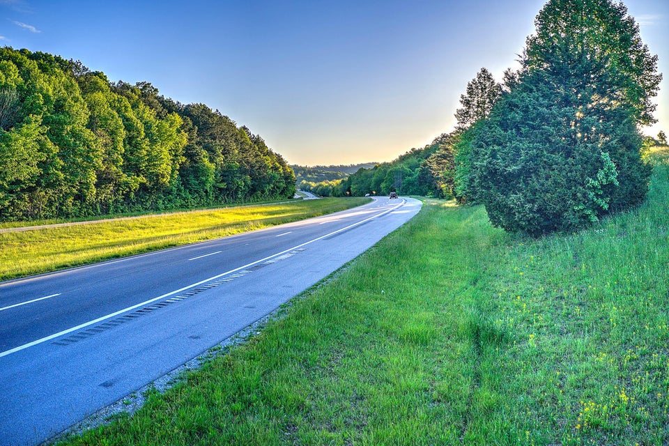 Photo #11: 000 Andrew Johnson Highway