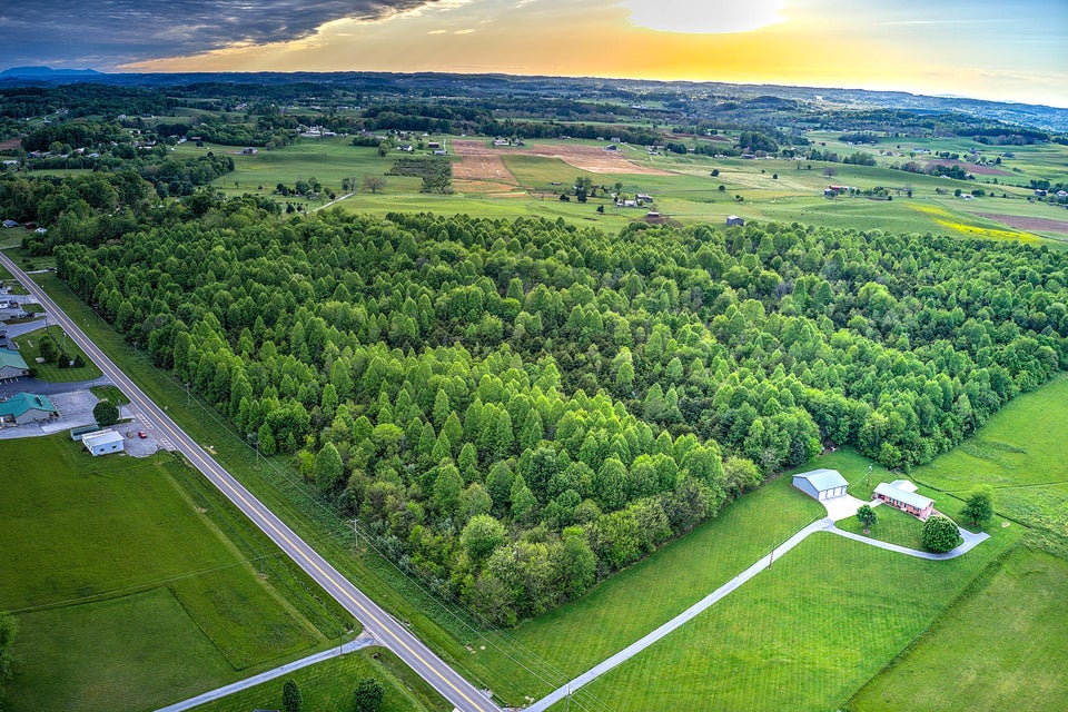 Photo #6: 000 Erwin Highway