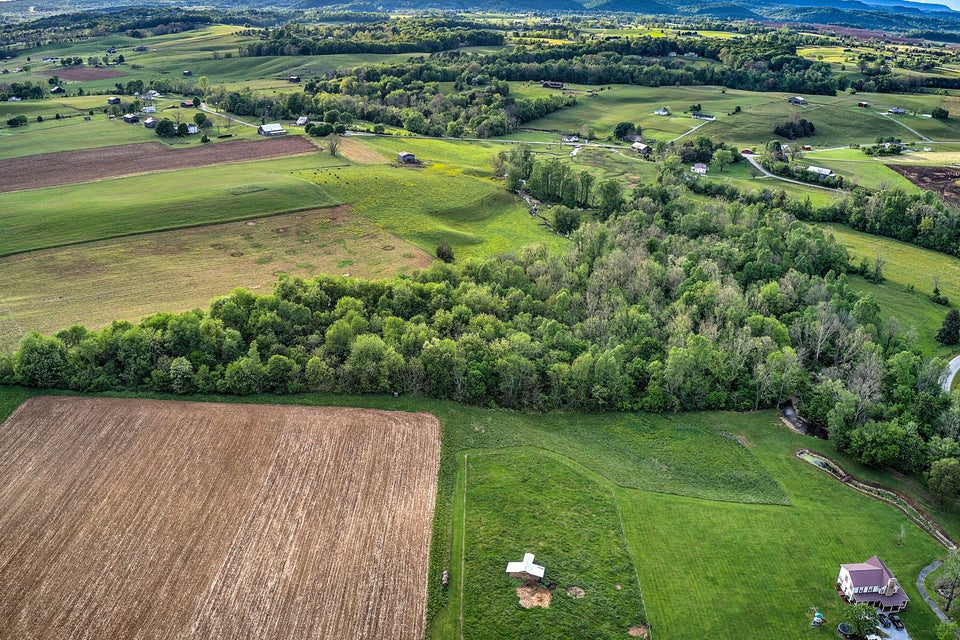 Photo #9: 000 Erwin Highway
