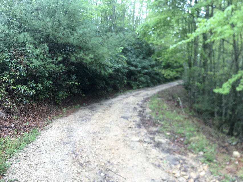 Photo #4: 000 Of Wayne Laws Road
