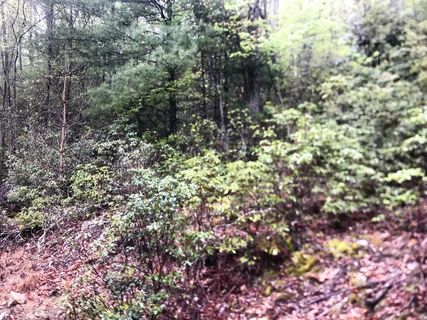 Photo #6: 000 Of Wayne Laws Road