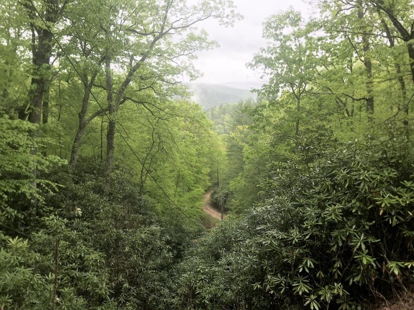 Photo #7: 000 Of Wayne Laws Road