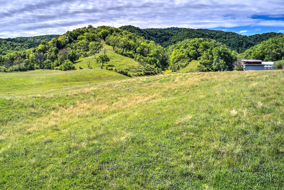 Photo #3: 785 Fodderstack Mtn Loop