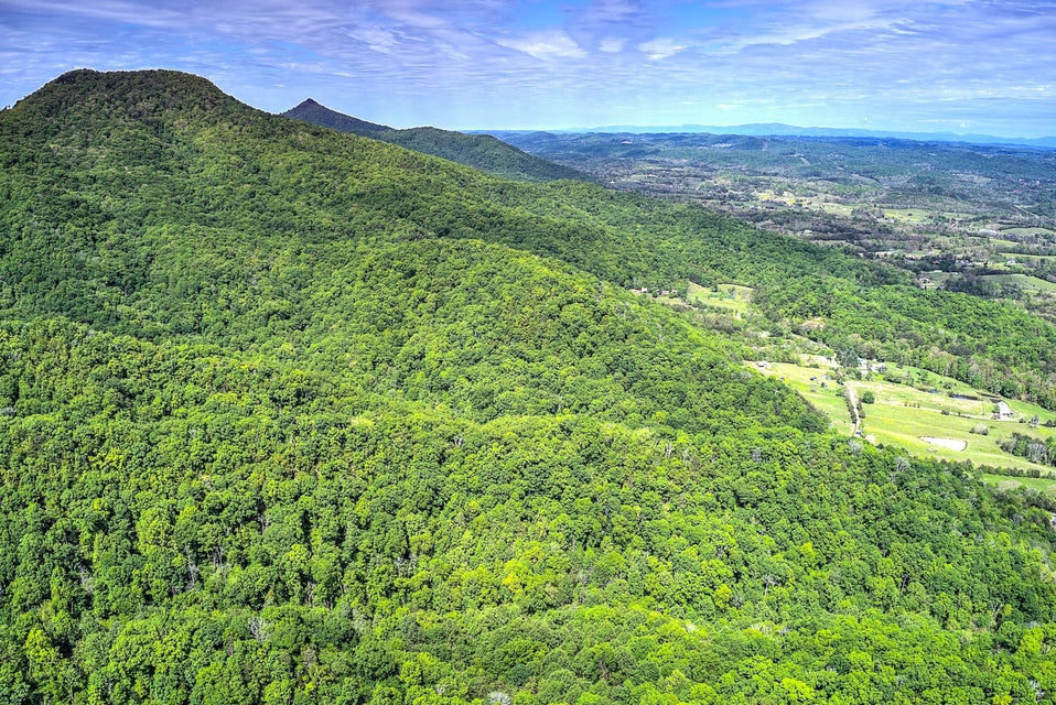 Photo #14: 785 Fodderstack Mtn Loop