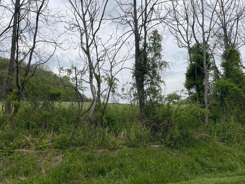 Photo #3: Tbd Harleywood Road