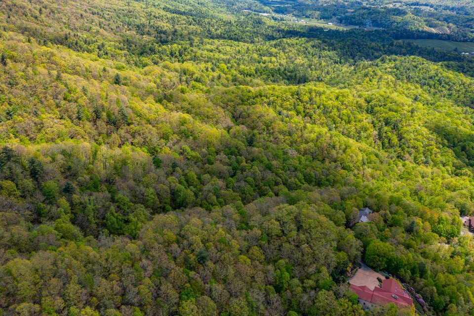 Photo #4: Lot 24 Bear Ridge Drive