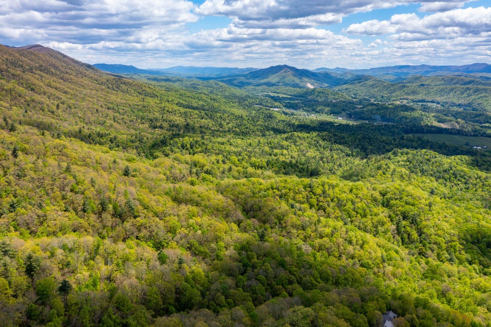 Photo #7: Lot 24 Bear Ridge Drive