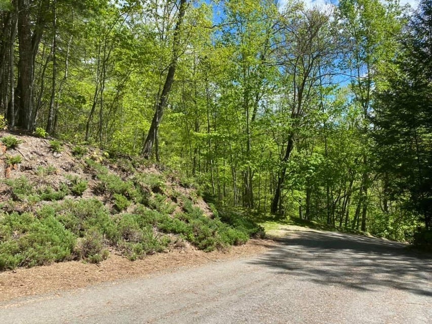 Photo #11: Lot 24 Bear Ridge Drive