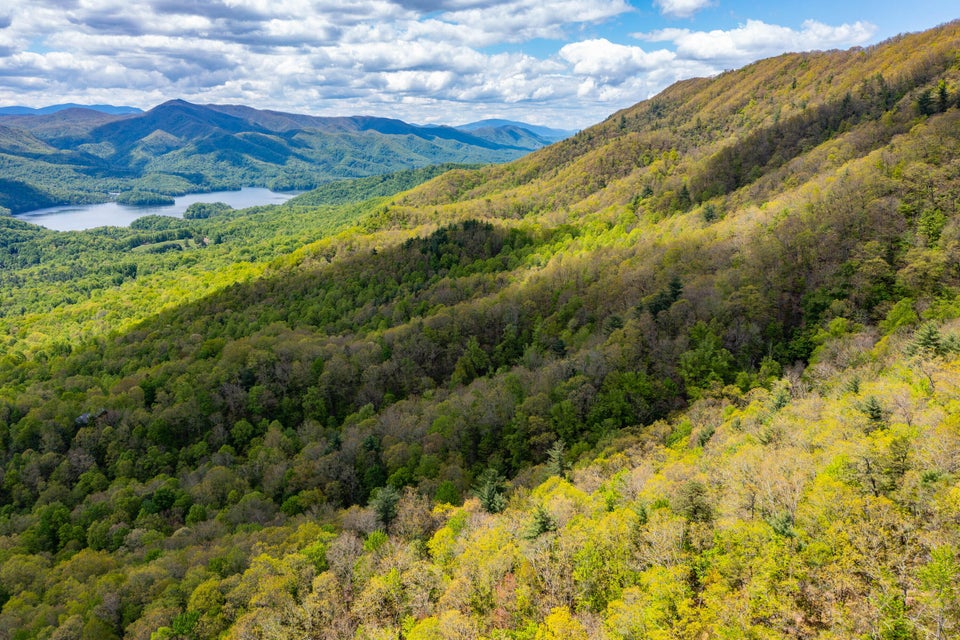 Photo #12: Lot 24 Bear Ridge Drive