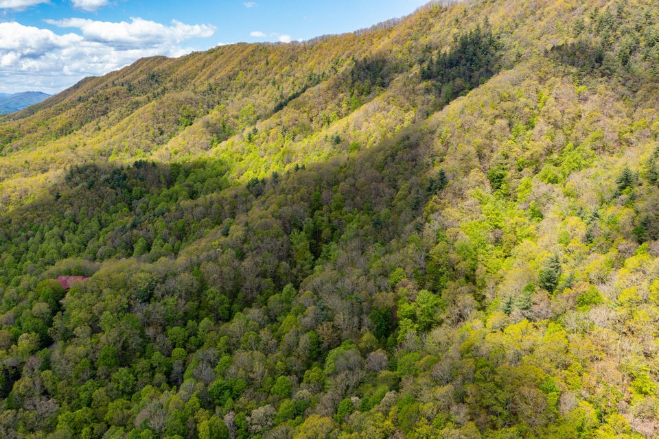 Photo #13: Lot 24 Bear Ridge Drive