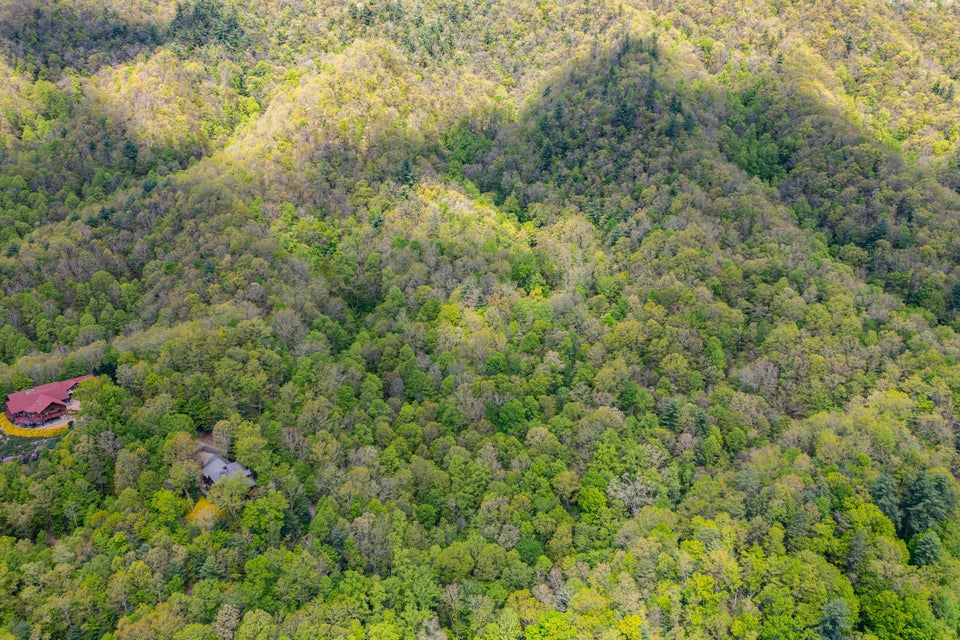 Photo #14: Lot 24 Bear Ridge Drive