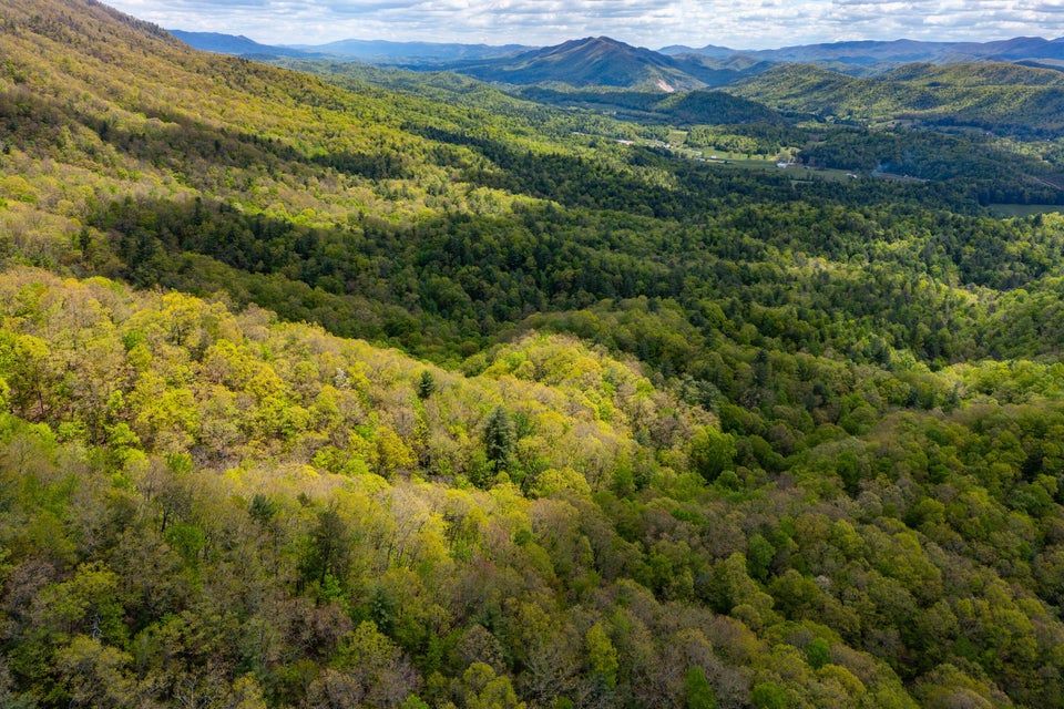 Photo #15: Lot 24 Bear Ridge Drive