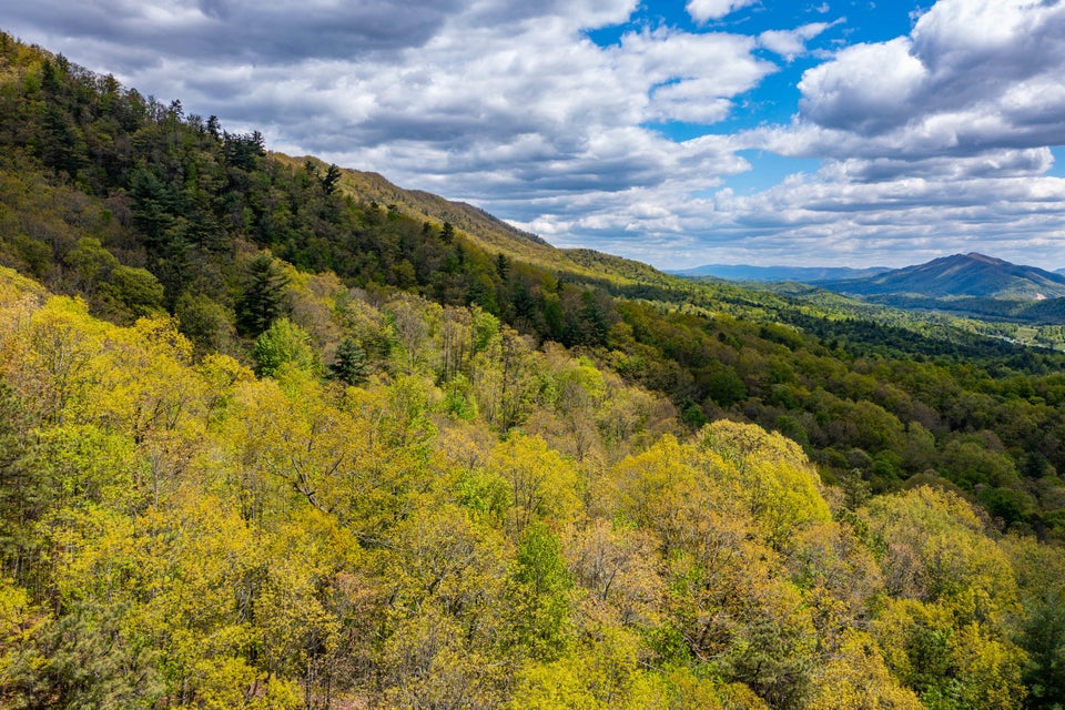 Photo #18: Lot 24 Bear Ridge Drive