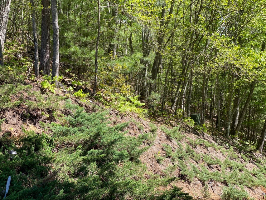 Photo #25: Lot 24 Bear Ridge Drive
