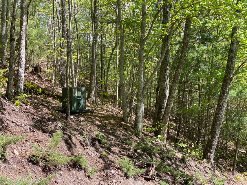Photo #26: Lot 24 Bear Ridge Drive