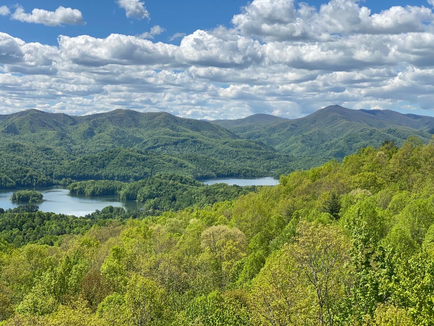 Photo #32: Lot 24 Bear Ridge Drive