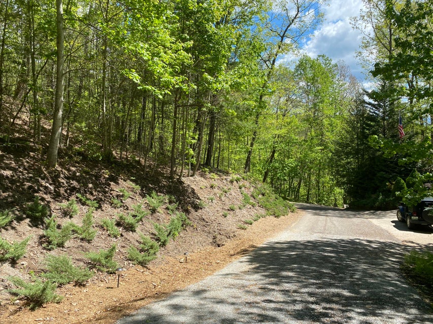 Photo #33: Lot 24 Bear Ridge Drive
