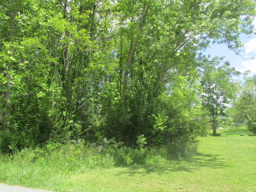 Photo #1: 0 Anderson Lot #5 Road
