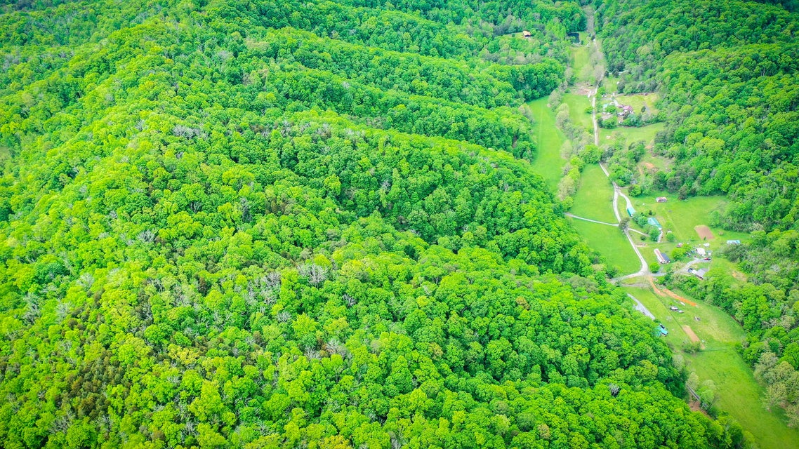 Photo #3: 0 Bear Hollow Road