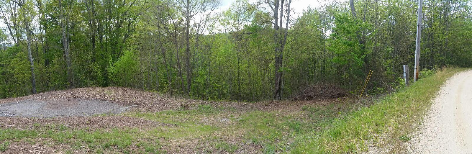 Photo #4: Tbd Mays Ridge - Lot 16 Road