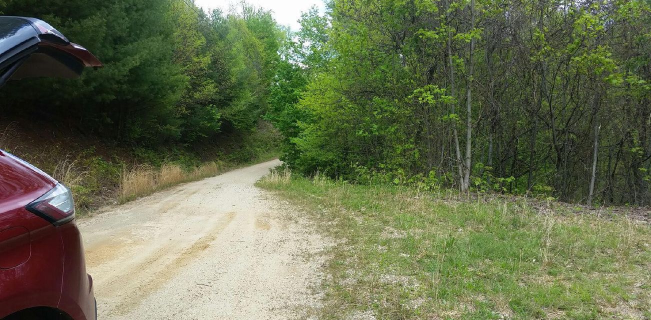 Photo #7: Tbd Mays Ridge - Lot 16 Road