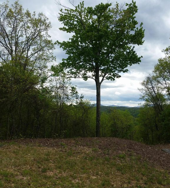 Photo #8: Tbd Mays Ridge - Lot 16 Road