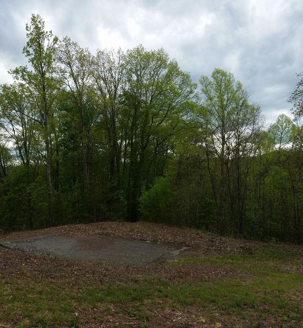 Photo #9: Tbd Mays Ridge - Lot 16 Road