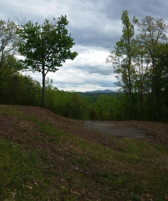 Photo #10: Tbd Mays Ridge - Lot 16 Road