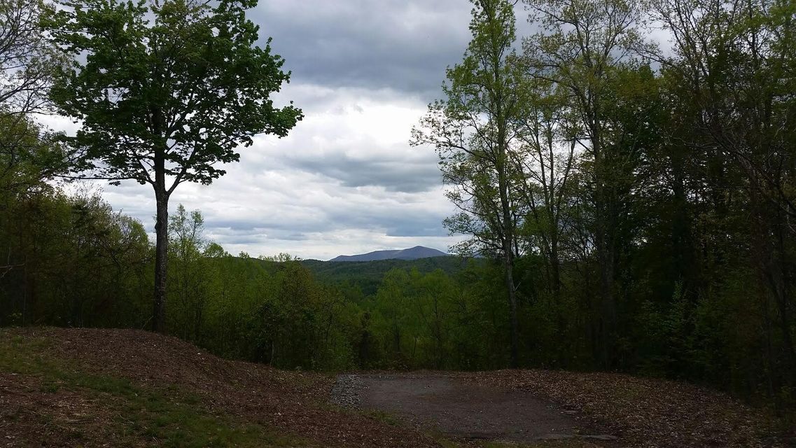 Photo #11: Tbd Mays Ridge - Lot 16 Road