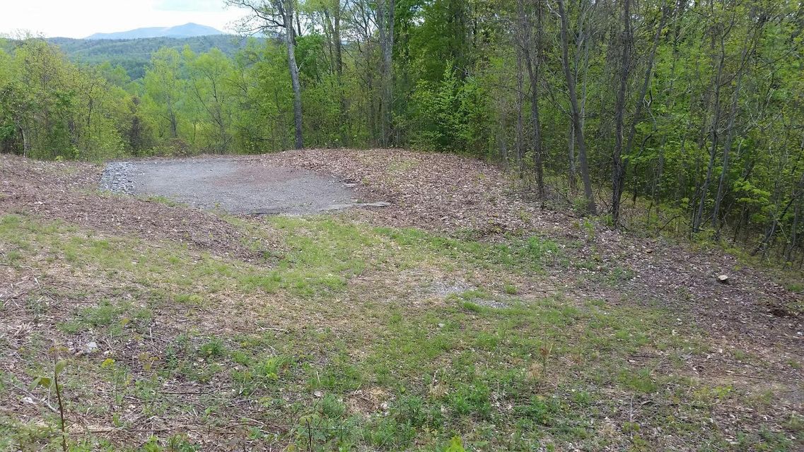 Photo #12: Tbd Mays Ridge - Lot 16 Road