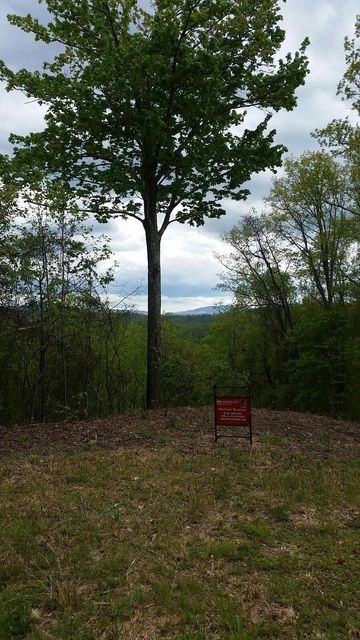 Photo #15: Tbd Mays Ridge - Lot 16 Road