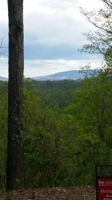 Photo #16: Tbd Mays Ridge - Lot 16 Road
