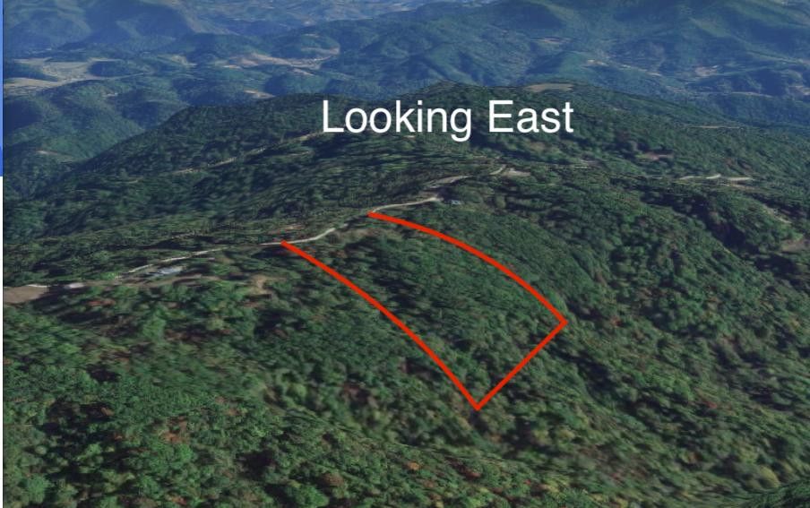 Photo #18: Tbd Mays Ridge - Lot 16 Road