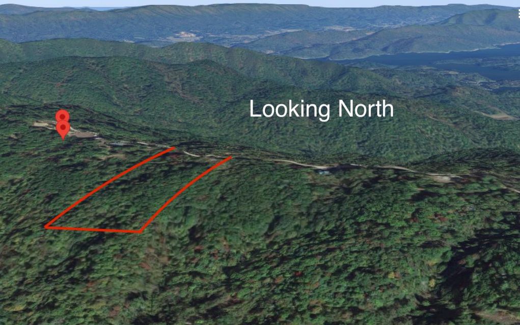 Photo #19: Tbd Mays Ridge - Lot 16 Road