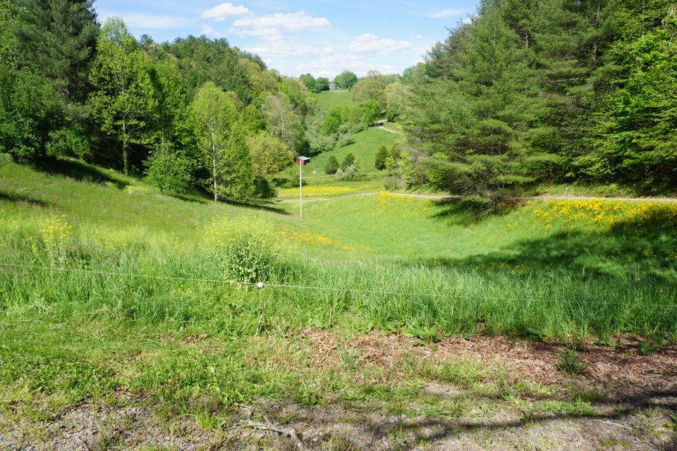Photo #39: 812 Reece Hill Road