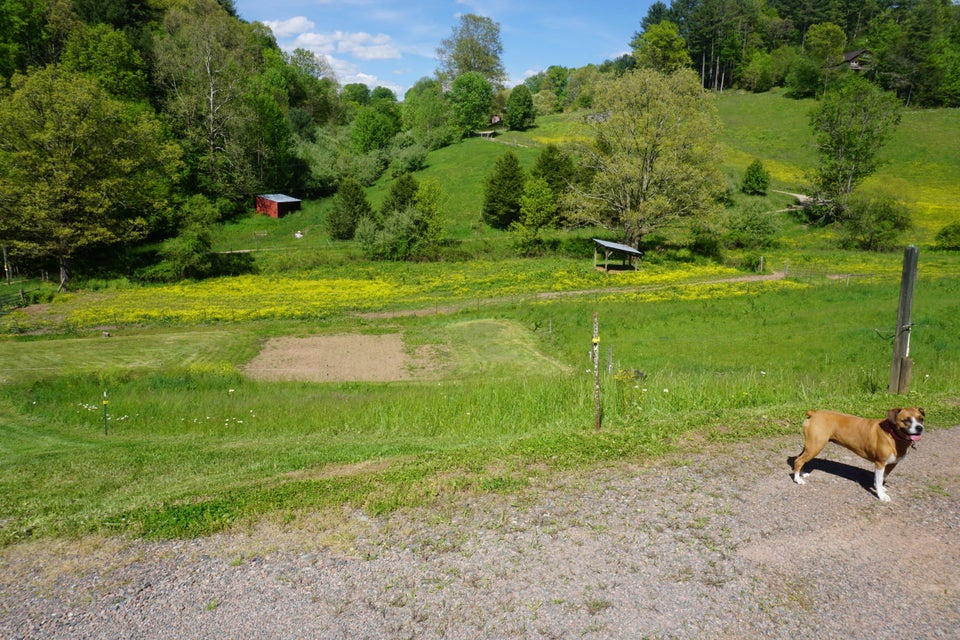 Photo #40: 812 Reece Hill Road