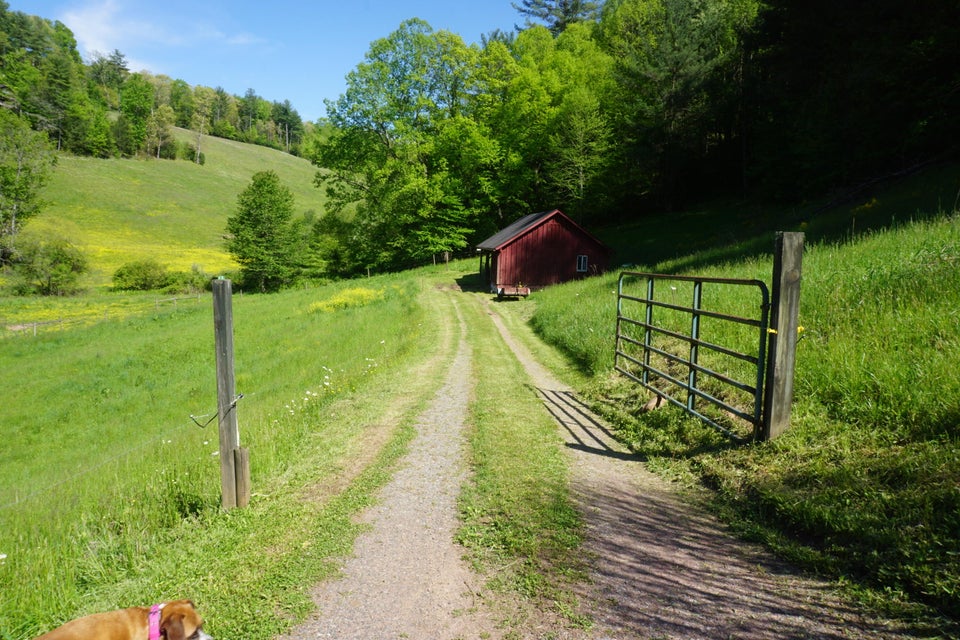 Photo #48: 812 Reece Hill Road