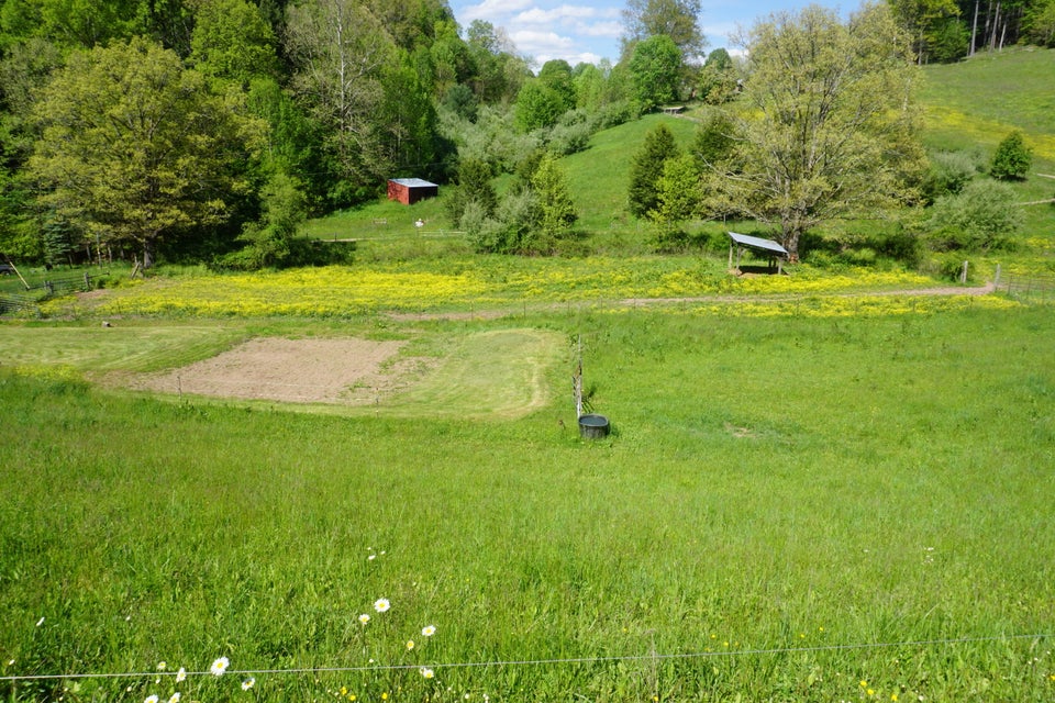 Photo #41: 812 Reece Hill Road