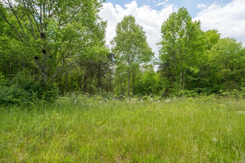Photo #2: 383 Ridgeway Road