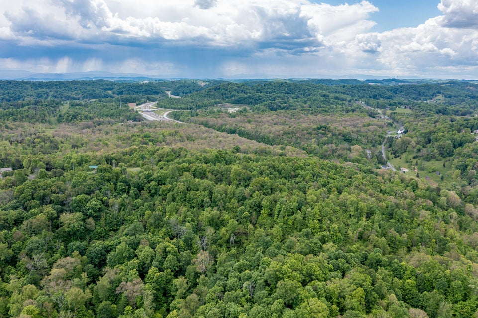 Photo #8: 391 Ridgeway Road