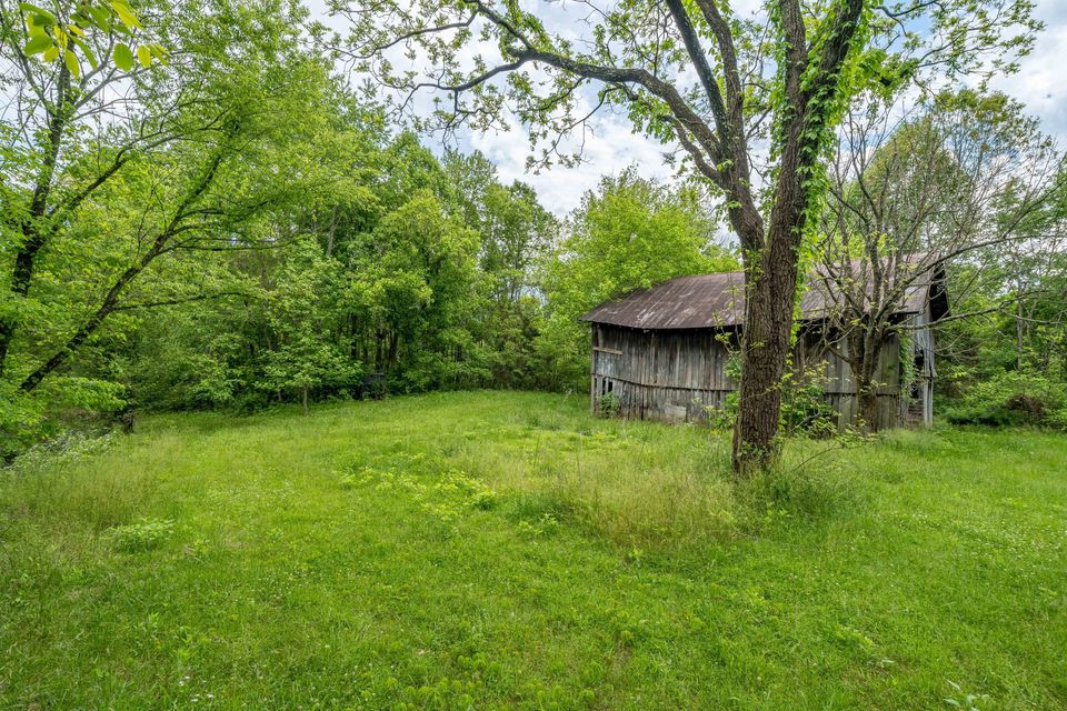Photo #11: 391 Ridgeway Road