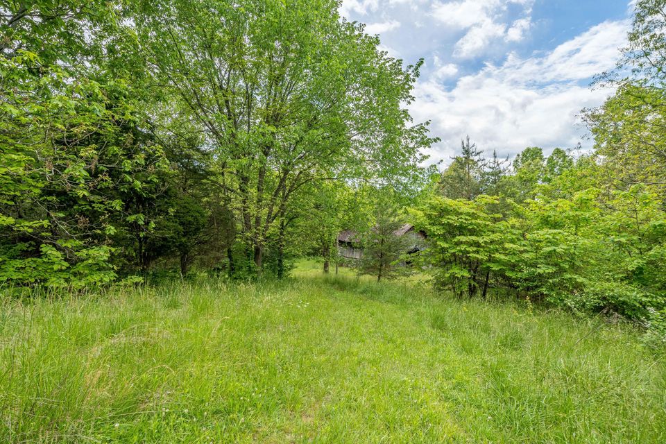 Photo #12: 391 Ridgeway Road