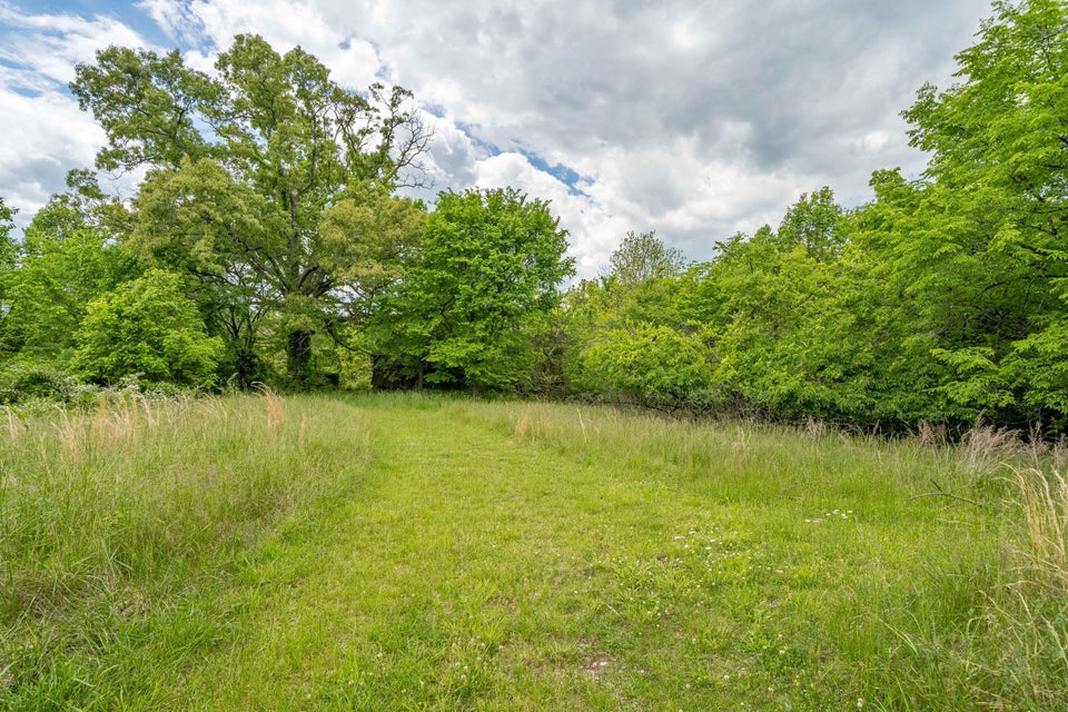 Photo #17: 391 Ridgeway Road