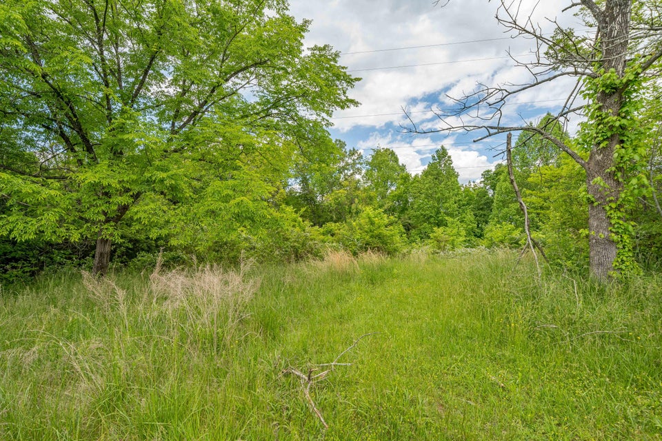 Photo #18: 391 Ridgeway Road