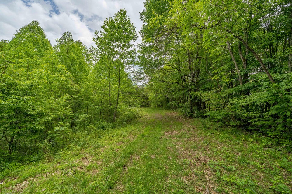 Photo #20: 391 Ridgeway Road