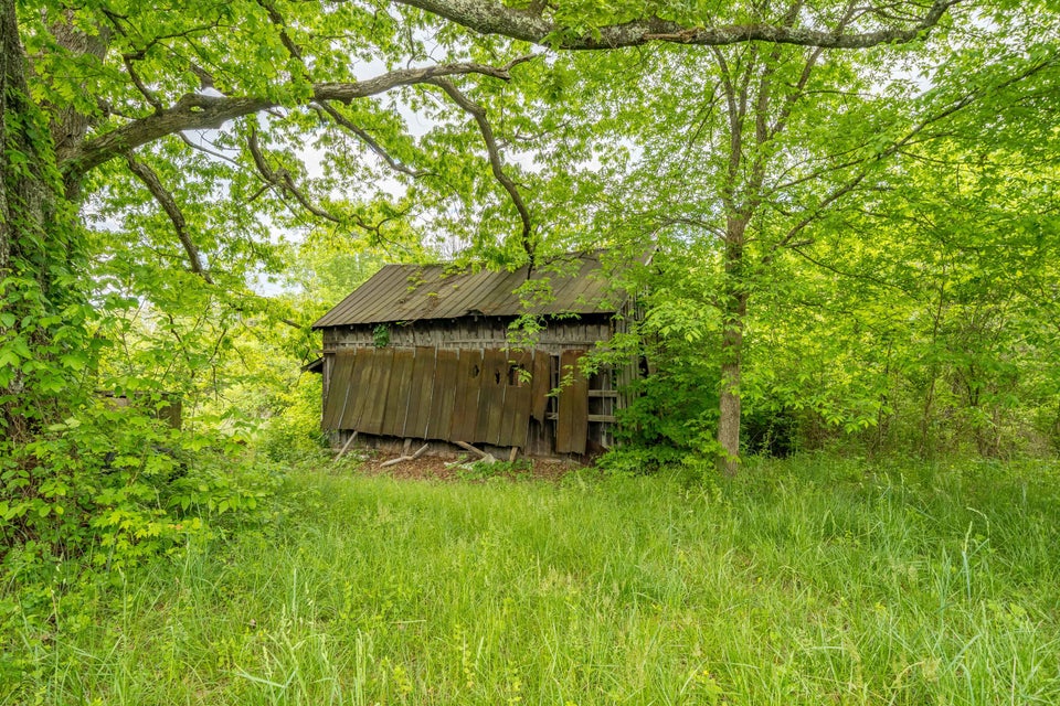 Photo #26: 391 Ridgeway Road