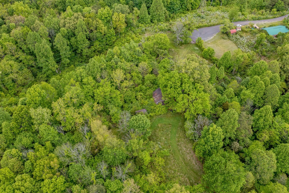 Photo #29: 391 Ridgeway Road